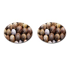 Snail Shells Pattern Arianta Arbustorum Cufflinks (oval)