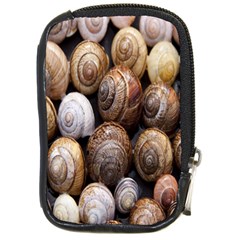 Snail Shells Pattern Arianta Arbustorum Compact Camera Leather Case by artworkshop