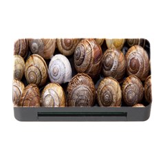 Snail Shells Pattern Arianta Arbustorum Memory Card Reader With Cf by artworkshop