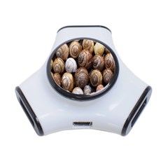 Snail Shells Pattern Arianta Arbustorum 3-port Usb Hub by artworkshop