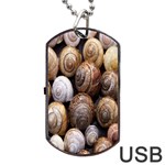 Snail Shells Pattern Arianta Arbustorum Dog Tag USB Flash (Two Sides) Back