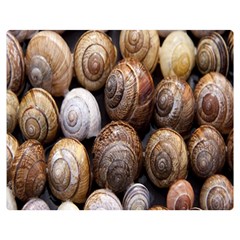 Snail Shells Pattern Arianta Arbustorum Premium Plush Fleece Blanket (medium) by artworkshop