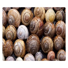 Snail Shells Pattern Arianta Arbustorum Premium Plush Fleece Blanket (small) by artworkshop