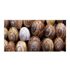 Snail Shells Pattern Arianta Arbustorum Satin Wrap 35  X 70 