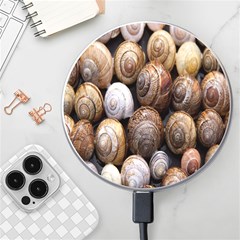 Snail Shells Pattern Arianta Arbustorum Wireless Charger by artworkshop