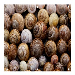 Snail Shells Pattern Arianta Arbustorum Banner And Sign 4  X 4  by artworkshop