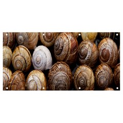 Snail Shells Pattern Arianta Arbustorum Banner And Sign 8  X 4  by artworkshop