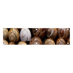 Snail Shells Pattern Arianta Arbustorum Banner And Sign 4  X 1  by artworkshop