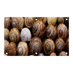 Snail Shells Pattern Arianta Arbustorum Banner And Sign 5  X 3  by artworkshop