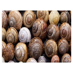 Snail Shells Pattern Arianta Arbustorum Premium Plush Fleece Blanket (extra Small) by artworkshop