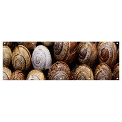 Snail Shells Pattern Arianta Arbustorum Banner And Sign 12  X 4 