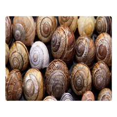 Snail Shells Pattern Arianta Arbustorum One Side Premium Plush Fleece Blanket (large) by artworkshop