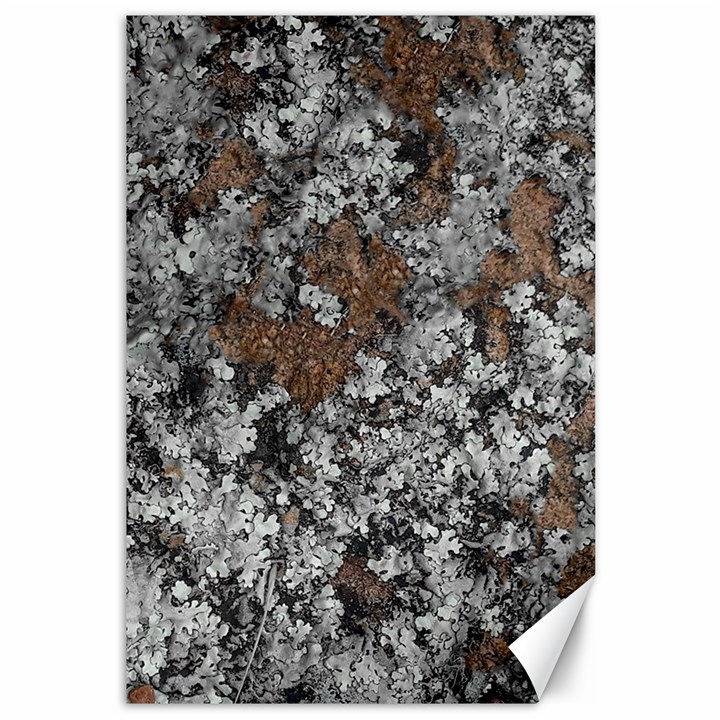 Floral Surface Print Design Canvas 12  x 18 