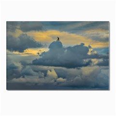 Bird Flying Over Stormy Sky Postcard 4 x 6  (pkg Of 10) by dflcprintsclothing