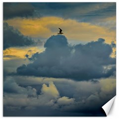 Bird Flying Over Stormy Sky Canvas 20  X 20  by dflcprintsclothing