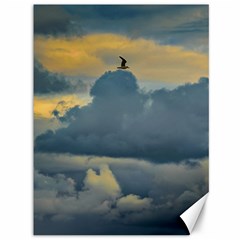 Bird Flying Over Stormy Sky Canvas 36  X 48 