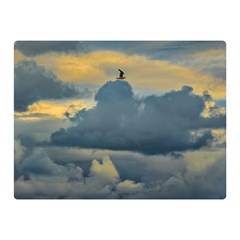 Bird Flying Over Stormy Sky Premium Plush Fleece Blanket (mini) by dflcprintsclothing