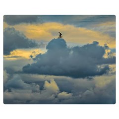 Bird Flying Over Stormy Sky Premium Plush Fleece Blanket (medium)