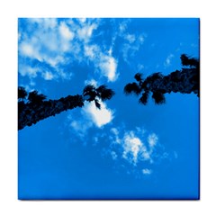 Trees & Sky In Martinsicuro, Italy  Tile Coaster by ConteMonfrey