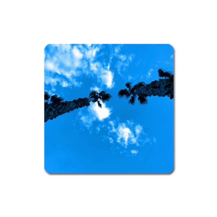 Trees & Sky in MartinSicuro, Italy. Square Magnet