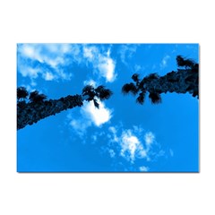 Trees & Sky In Martinsicuro, Italy  Sticker A4 (100 Pack) by ConteMonfrey