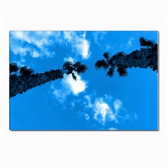 Trees & Sky In Martinsicuro, Italy  Postcards 5  X 7  (pkg Of 10) by ConteMonfrey