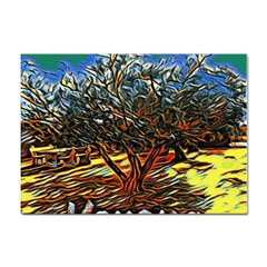 Colorful Verona Olive Tree Sticker A4 (100 Pack) by ConteMonfrey