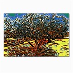 Colorful Verona Olive tree Postcards 5  x 7  (Pkg of 10) Front