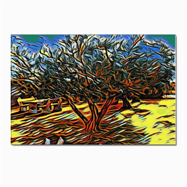 Colorful Verona Olive tree Postcards 5  x 7  (Pkg of 10)