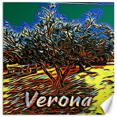 Colorful Verona Olive Tree Canvas 20  X 20  by ConteMonfrey