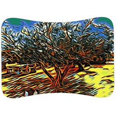 Colorful Verona Olive Tree Velour Seat Head Rest Cushion by ConteMonfrey