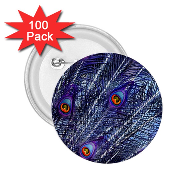 Peacock-feathers-color-plumage Blue 2.25  Buttons (100 pack) 