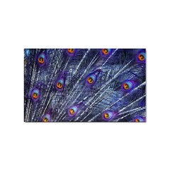 Peacock-feathers-color-plumage Blue Sticker (rectangular) by danenraven