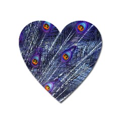 Peacock-feathers-color-plumage Blue Heart Magnet by danenraven