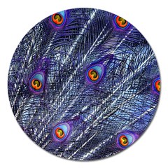 Peacock-feathers-color-plumage Blue Magnet 5  (round) by danenraven