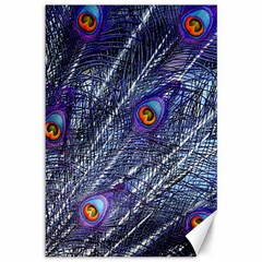 Peacock-feathers-color-plumage Blue Canvas 12  X 18  by danenraven