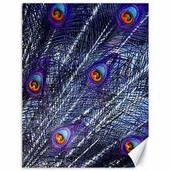 Peacock-feathers-color-plumage Blue Canvas 18  X 24  by danenraven