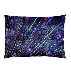 Peacock-feathers-color-plumage Blue Pillow Case (two Sides) by danenraven