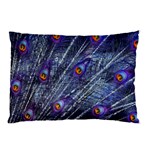 Peacock-feathers-color-plumage Blue Pillow Case (Two Sides) Front