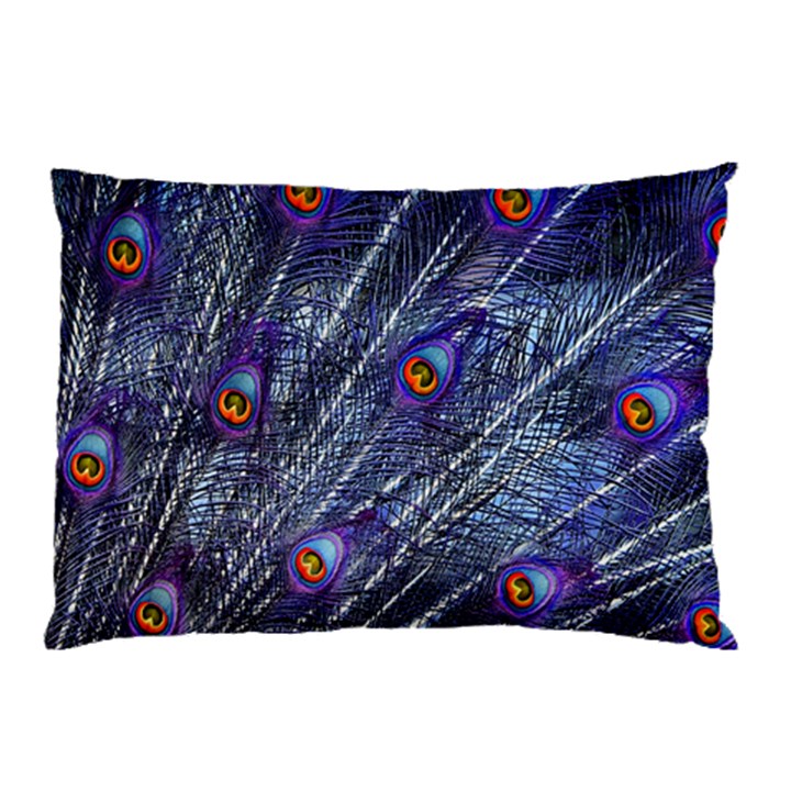 Peacock-feathers-color-plumage Blue Pillow Case (Two Sides)