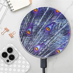 Peacock-feathers-color-plumage Blue Wireless Charger by danenraven