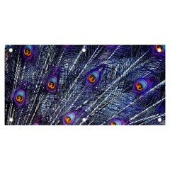 Peacock-feathers-color-plumage Blue Banner And Sign 6  X 3  by danenraven