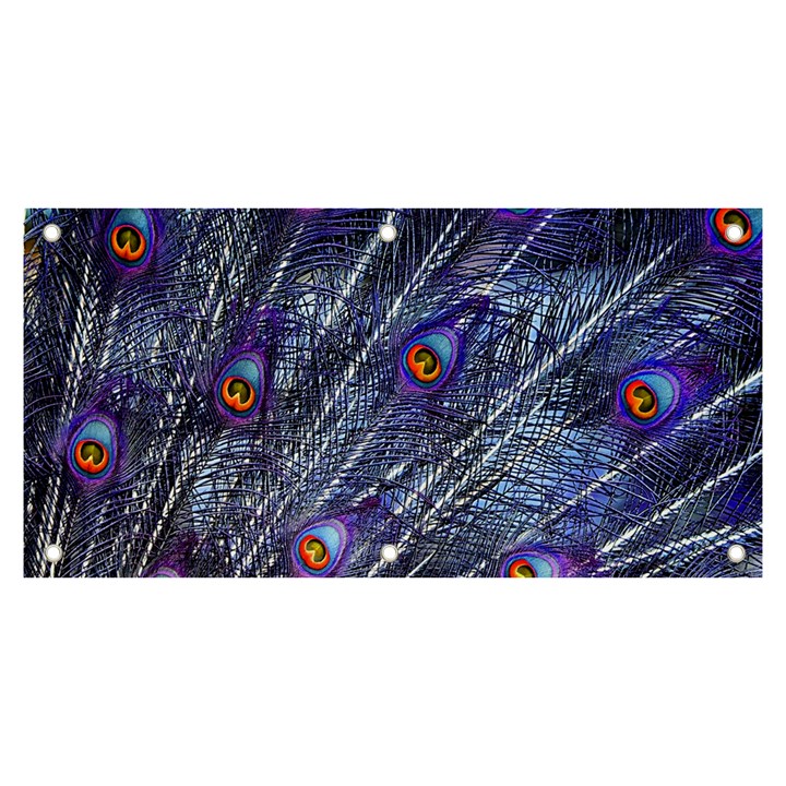 Peacock-feathers-color-plumage Blue Banner and Sign 6  x 3 