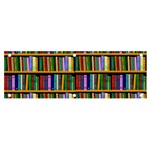 Books On A Shelf Banner and Sign 6  x 2  Front