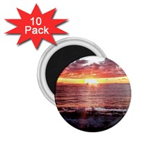 Tropical Sunset 1 75  Magnets (10 Pack)  by StarvingArtisan