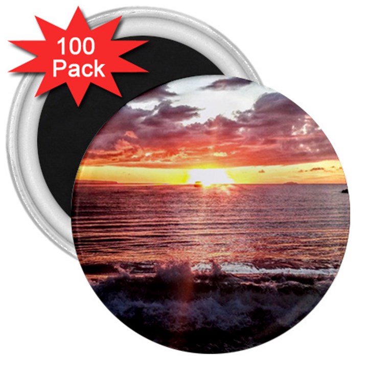 Tropical Sunset 3  Magnets (100 pack)