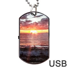 Tropical Sunset Dog Tag Usb Flash (two Sides) by StarvingArtisan