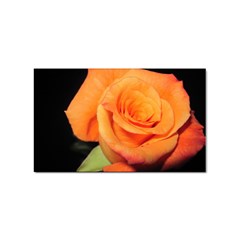 Color Of Desire Sticker (rectangular)