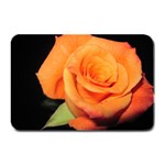 Color of Desire Plate Mats 18 x12  Plate Mat