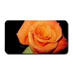 Color of Desire Medium Bar Mat 16 x8.5  Bar Mat